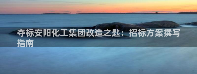 球盟会优惠码：夺标安阳化工集团改造之匙：招标方案撰写
指南